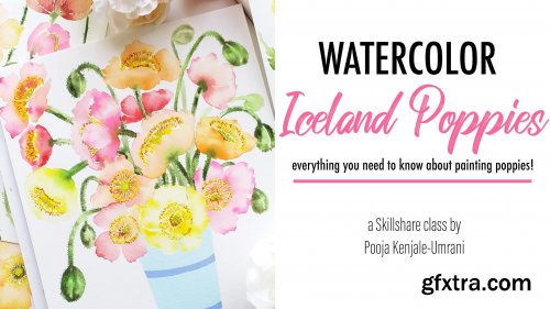Watercolor Iceland Poppies - Everything you need to know about painting poppies!