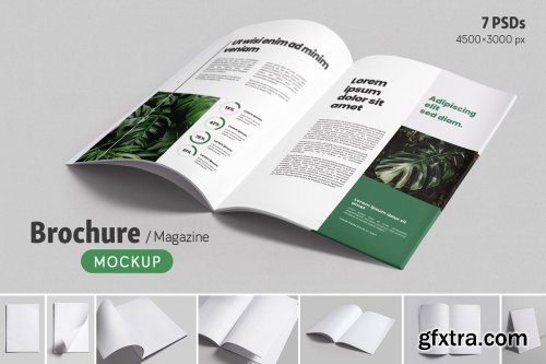 CreativeMarket - Brochure Magazine Mockups 4589122