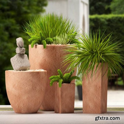 Modern potted plants 32 3D model