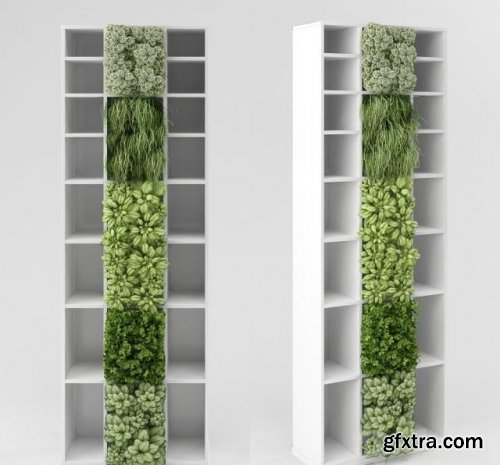 Bookshelf with vertical garden