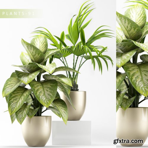 Plants-91 3d model
