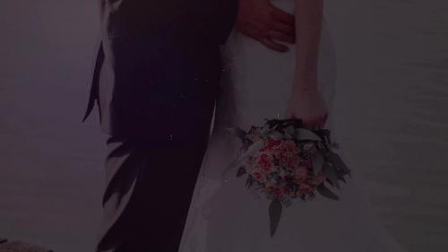 MotionElements - Wedding Titles Big Pack - 11307482