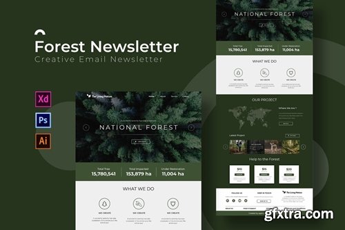 Forest | Newsletter Template