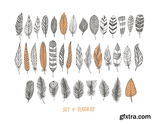 Collection of Hand-Drawn Decorative Feathers