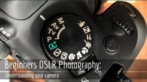 SkillShare - Beginners DSLR Photography: Understanding Your Camera
