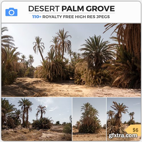PhotoBash - DESERT PALM GROVE