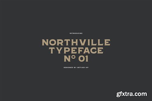 Northville 01
