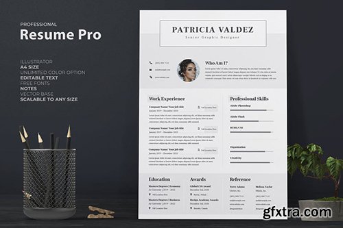 Professional Resume / CV