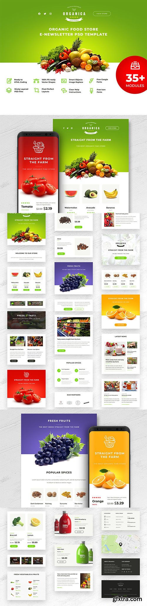 Organica - Food Store E-newsletter PSD Template