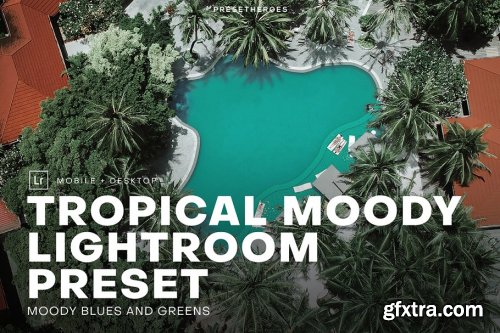 CreativeMarket - Tropical Moody Lightroom Preset 4552639