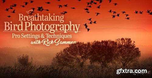 KelbyOne - Breathtaking Bird Photography: Pro Settings and Techniques
