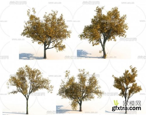 Modern landscape trees 3d model