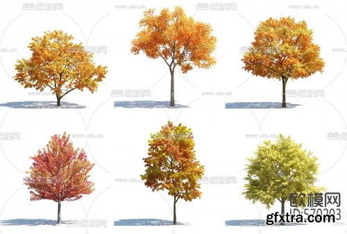Autumn Trees Pack 01