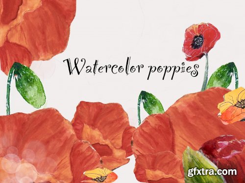 Watercolor Poppies | Buds To Flowers