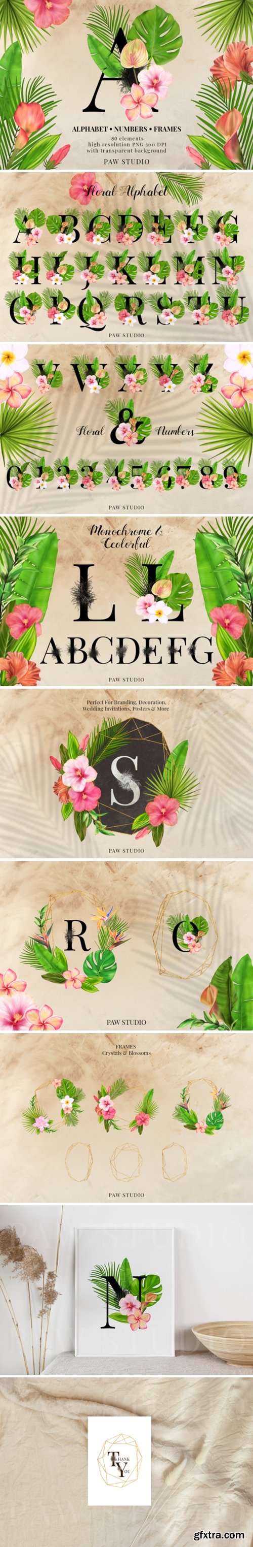 Tropical Graphic Letters. Floral Frames 3790491