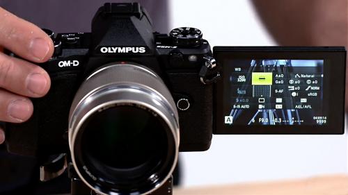 Lynda - Olympus OM-D Cameras: Tips and Techniques