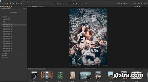 Working with styles in Capture One Pro