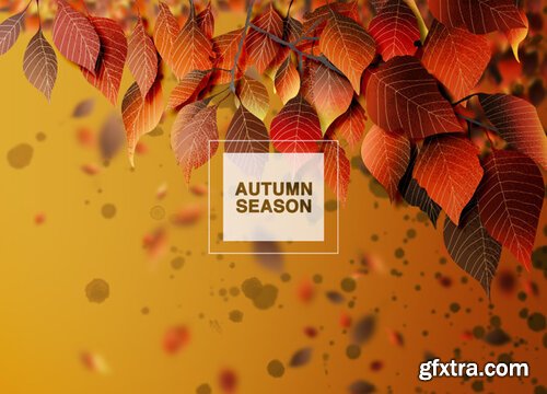 Autumn season background, leaves and shadows Premium Psd