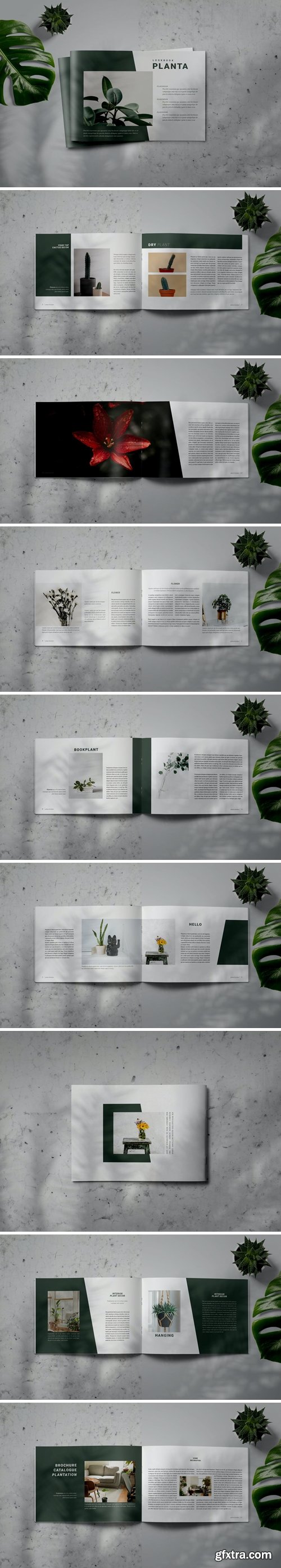 PLANTA - Indesign Brochure Catalog Template