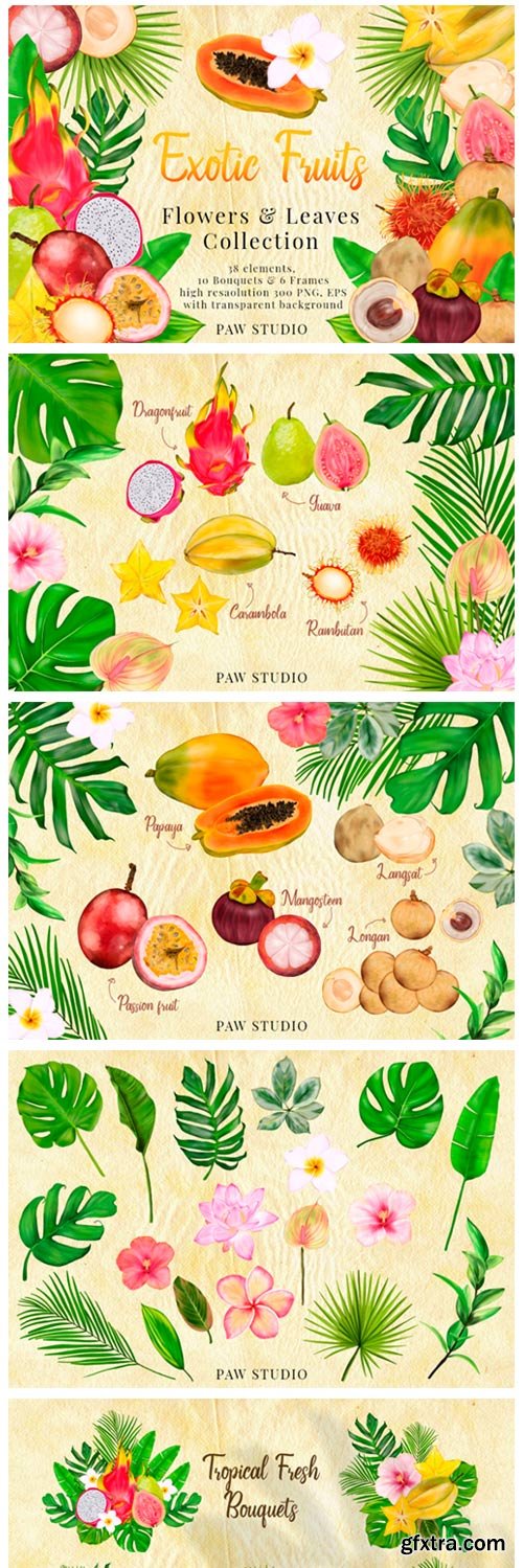 Tropical Graphic Fruits, Flowers, Leaves 3863622