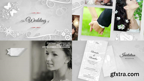 MotionElements Complete Traditional Wedding Pack 2723083