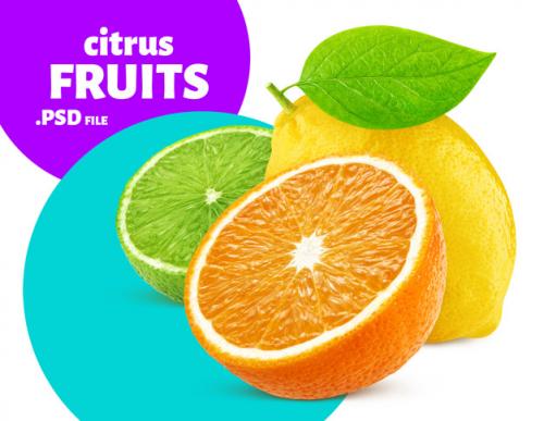 Citrus Fruits Isolated, Fresh Food Banner Premium PSD
