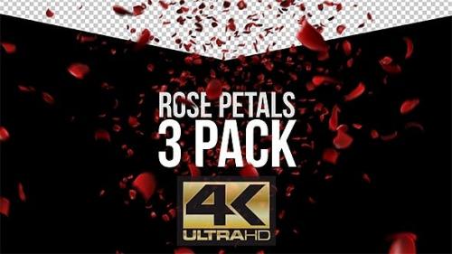Videohive - Rose Petals - 3 Pack - 12524303