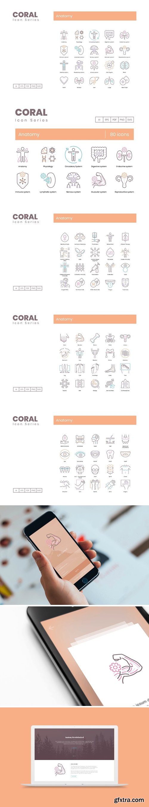 80 Anatomy Icons - Coral Series