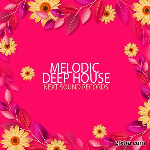 Next Sound Records Melodic Deep House WAV MIDI SPIRE SERUM SYLENTH1