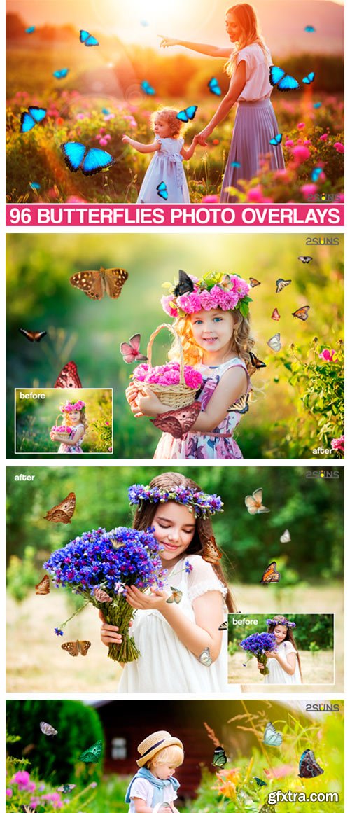 Butterfly Overlay, Butterflies Photoshop 3939901