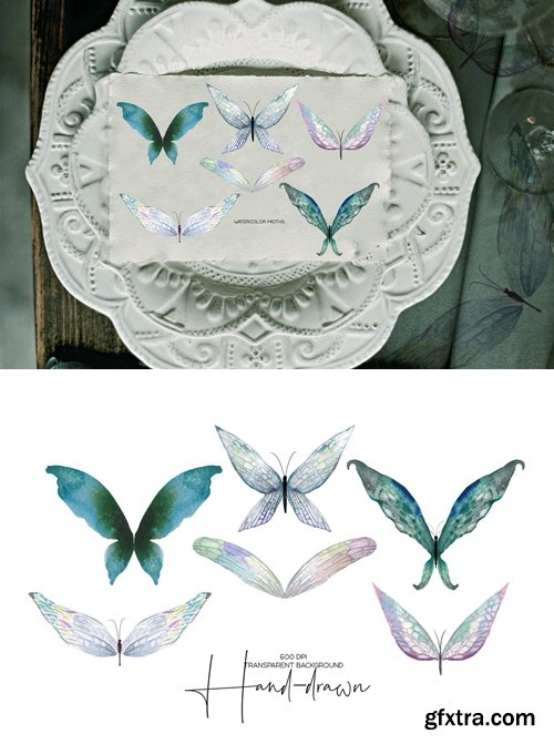Watercolor tender butterflies and moths