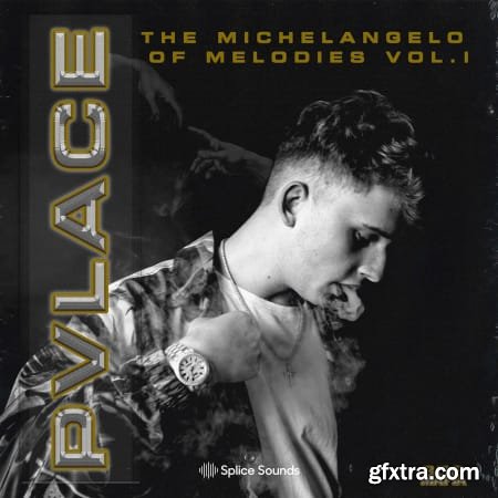 Splice Sounds Pvlace Michelangelo of Melodies Vol 1 WAV