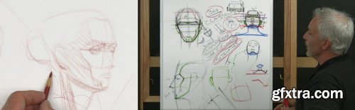 Beginning Head Drawing | Part 2: Intermediate Head Construction