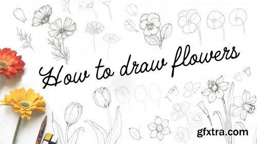 Learn to draw flowers, from simple shapes to a more realistic drawing