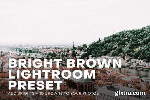 CreativeMarket - Bright and Brown Lightroom Preset 4552387