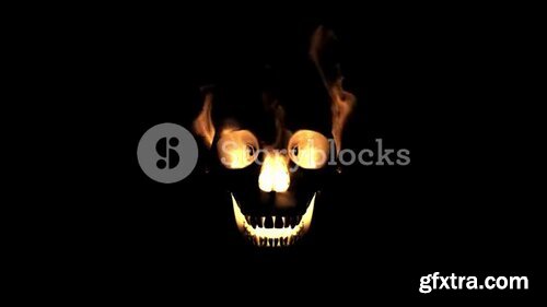 Videoblocks - burning skull, animation loop | Video Loops
