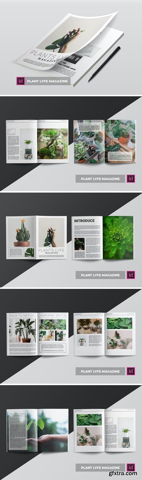 Plant Lyfe | Magazine