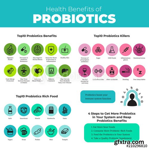 Probiotics health benefits vector infographic