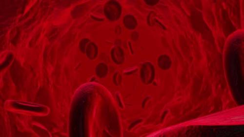 Videohive - Blood Cell Hd - 26580366