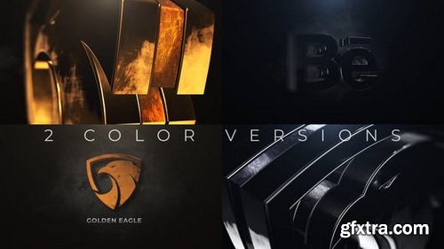 Videohive - Gold And Silver Logo Reveal - 24753721
