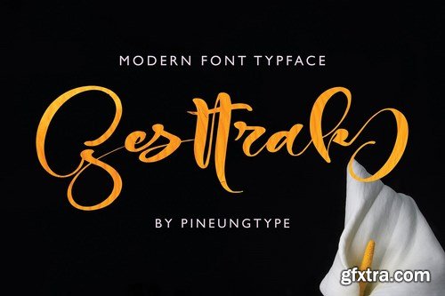 CM - Gesttrak Stunning Script Fonts 4900705