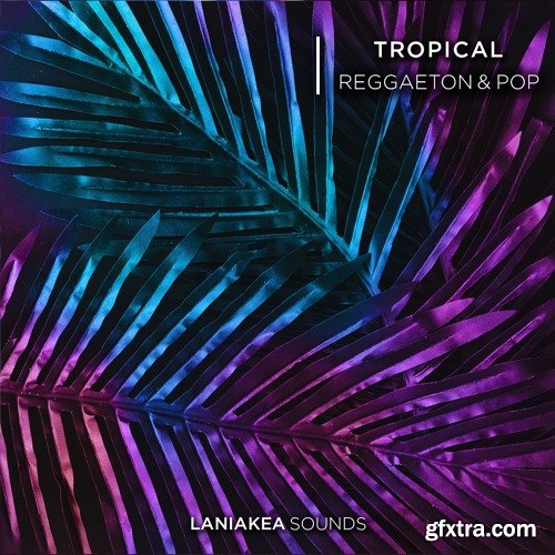 Laniakea Sounds Tropical Reggaeton And Pop WAV-DISCOVER