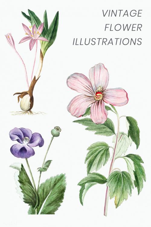 Set of hand drawn flowers illustration - 2110408