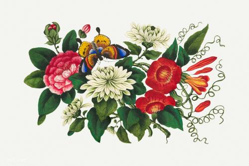 Vintage antique mixed flower illustration mockup - 2203349
