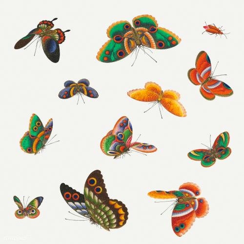Beautiful vintage Chinese butterfly and insect illustrations set mockup - 2205093