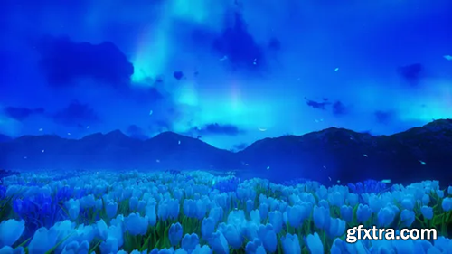 Videohive Lily Field V2 26285681