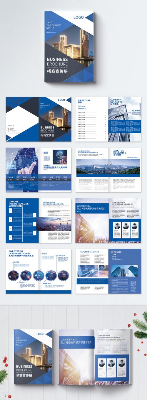LovePik - blue business investment album complete set - 401441691