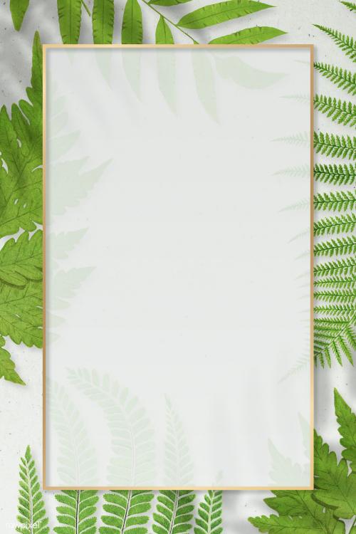 Frame of fern leaves background - 2251173