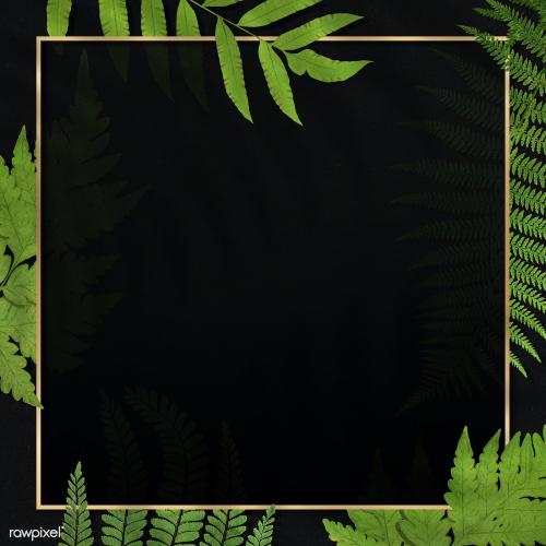 Frame of fern leaves background - 2251176