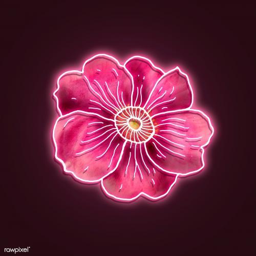 Neon pink rose mockup - 2254121